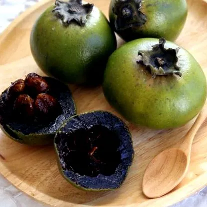 sapote