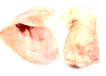 urechi curat