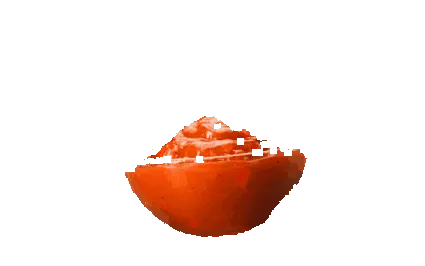 salsa