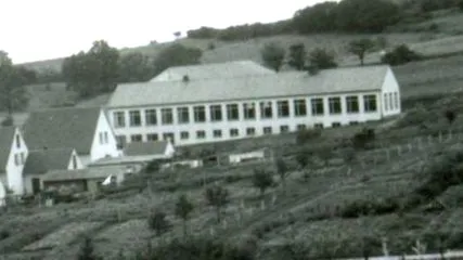 1955-ben