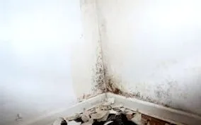 isotec
