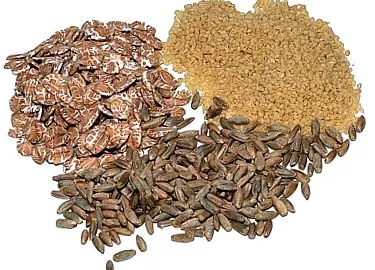 chestiune