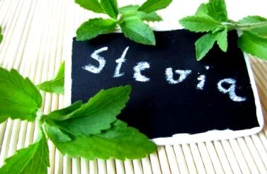 stevia