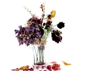 florile florile
