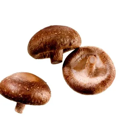 Demeter- Shiitake