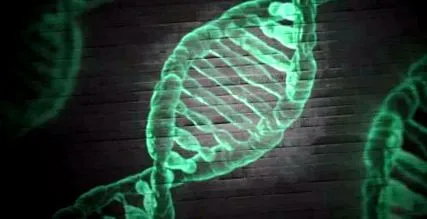 gene