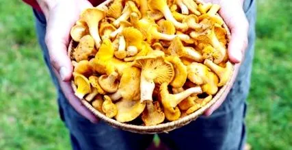 мити