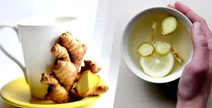chip melegítők