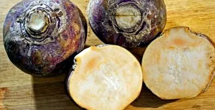 legume