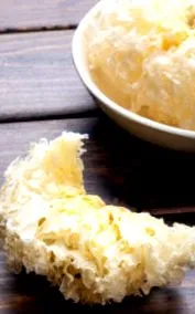 tremella