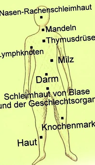 combinarea