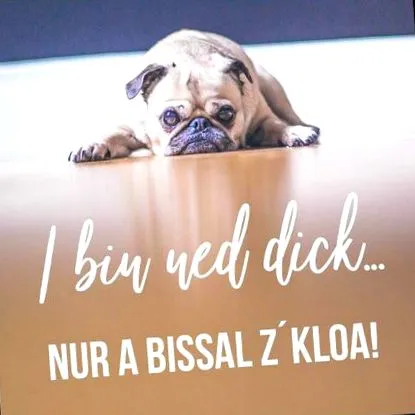 csak