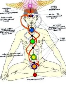 yogawiki
