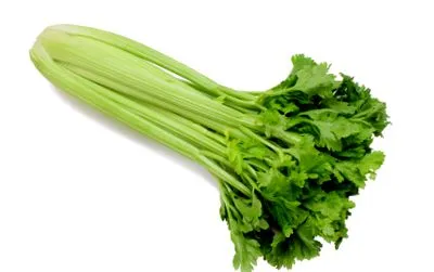 матичен
