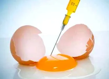 egészséges