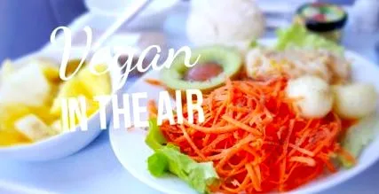 vegetarianul