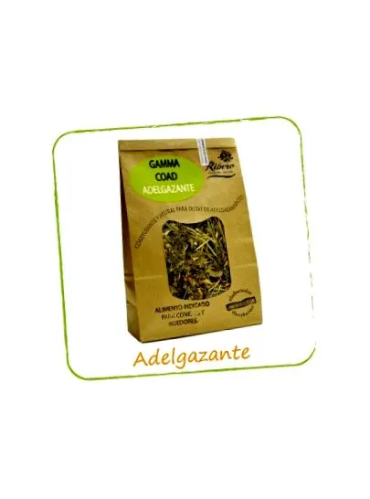 newmascota