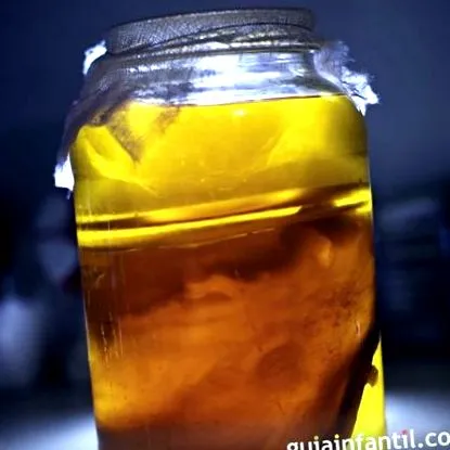 recept