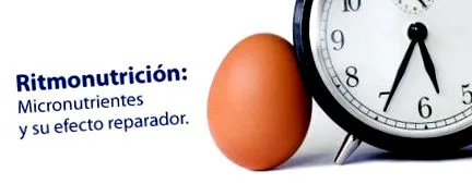 ritmonutrition