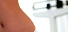 tippek