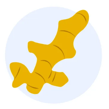 curcuma medicinale