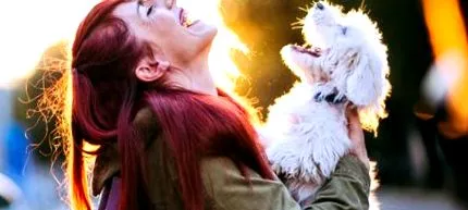 animale