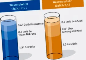 egészsége gyógyszertárak