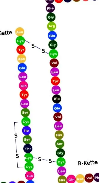 idegen DNS-t