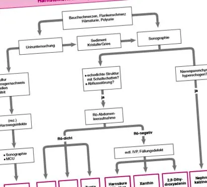 nephrocalcinosis