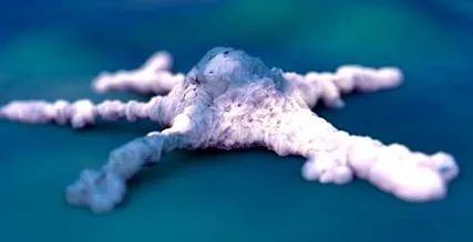 pancreatic