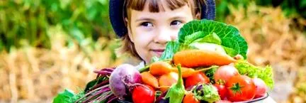 vitamina legume