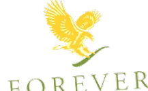 többi résztvevővel