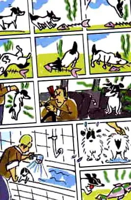 etetési kísérletek