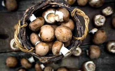 Dacă doriți