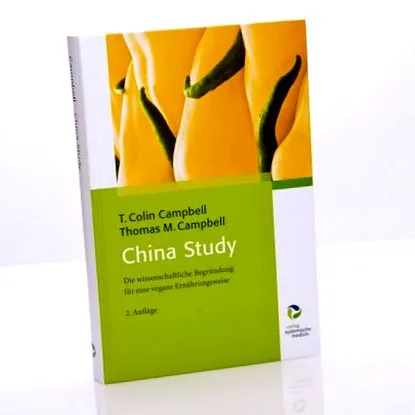 studiul chinei
