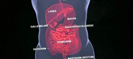 înseamnă