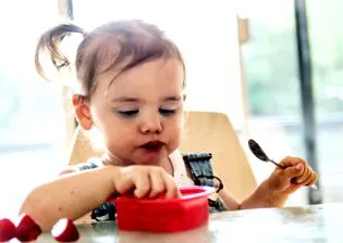 секој јадат