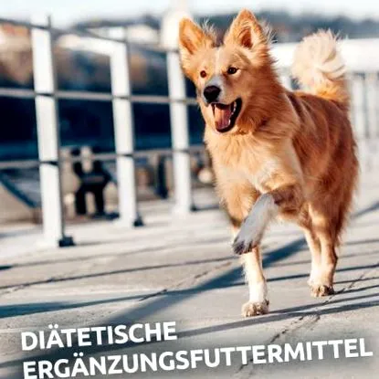 aniforte