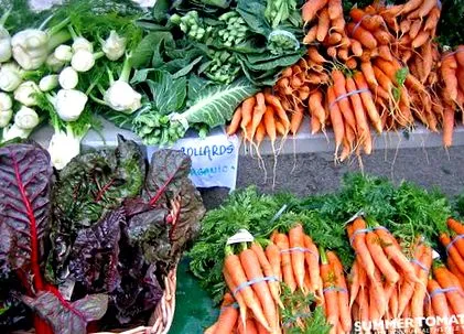 nutriție