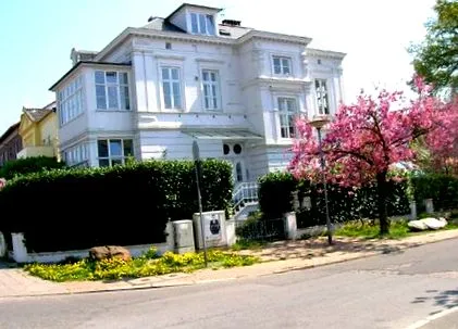 dermatologie