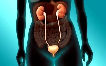 interstitialis amelyet későn