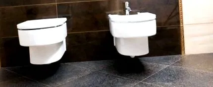 intestinală