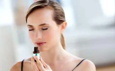 parfumurilor parfumurile
