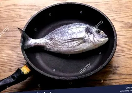 dorado dorado