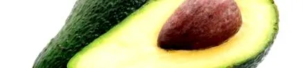 avocado