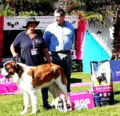 mâncare eukanuba