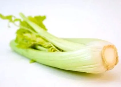 țelină