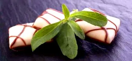 stevia