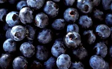 fructe