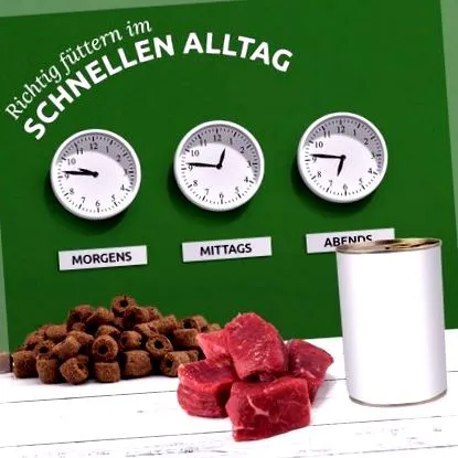 alimentație